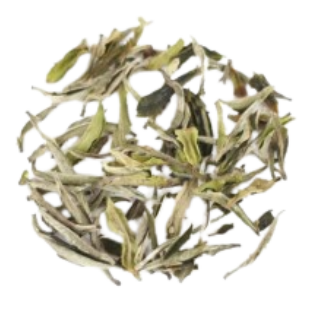 Thé blanc Népal - First Flush Sakhejung Delight