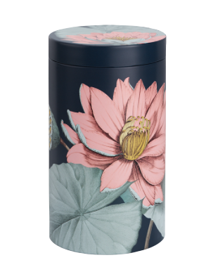 Boîte de conservation Padma 500g