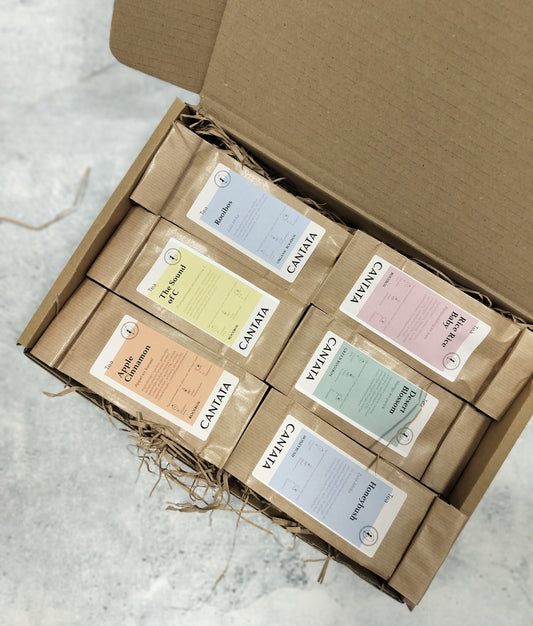 Discover Rooibos Thee