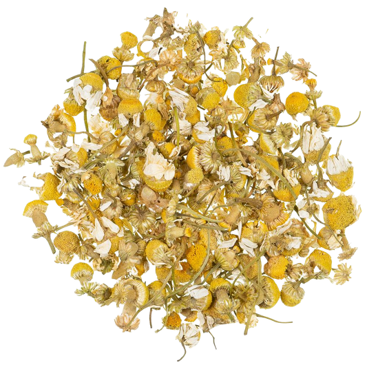 Kruiden infusie Camomile Blossoms