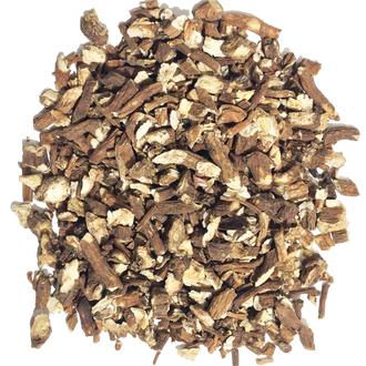 Infusion Dandelion Root