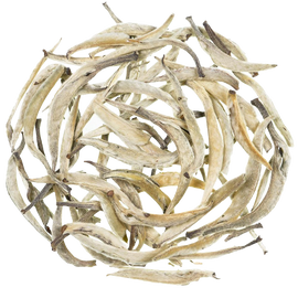 Thé blanc Chine - Silver Needle